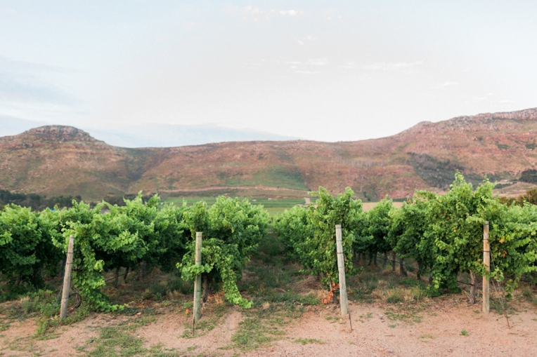 French Grey Photography Steenberg Elopement 005