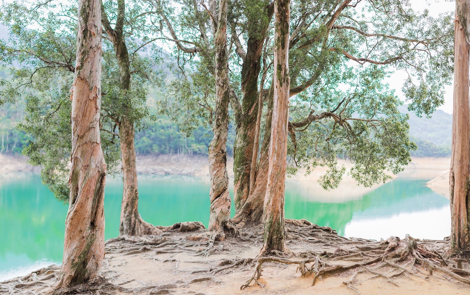 French Grey Photography Hong Kong Prewedding1