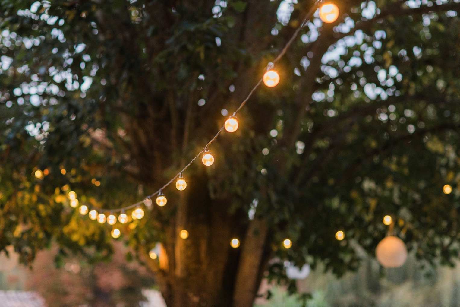 Chateau Charmant Wedding French Grey Photography61